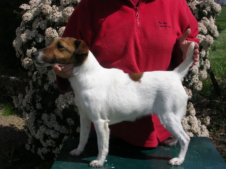 Vanina du domaine de parbeau