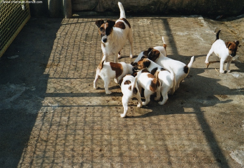 Romy du domaine de parbeau