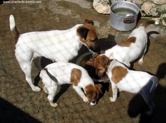 Suzanne du domaine de parbeau